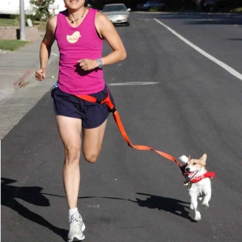 Adjustable Belt Traction Walking Pet Lead with Free Rope for Cats and Dogs - Jogging Supplies and Leash
