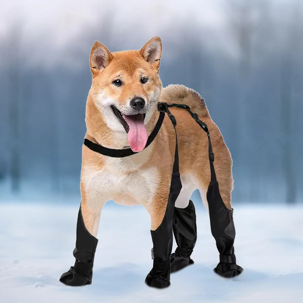 Outdoor Walking Dog Boots Waterproof Leggings With Straps