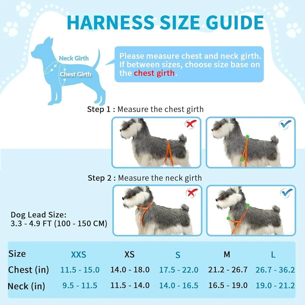Soft Padded Dog Harness Leash Set Adjustable Reflective Vest for Small Dogs Quick Fit Neck and Chest Safe Walking with 4ft Leash