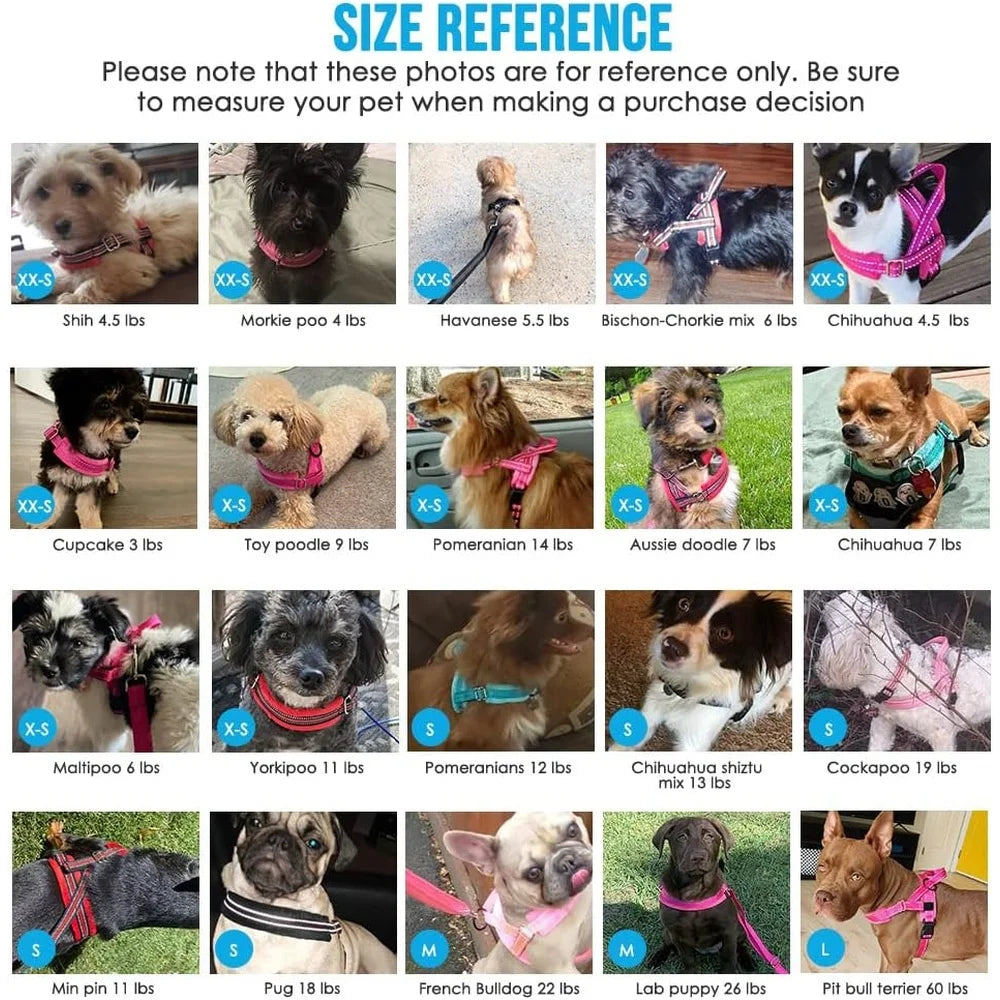 Soft Padded Dog Harness Leash Set Adjustable Reflective Vest for Small Dogs Quick Fit Neck and Chest Safe Walking with 4ft Leash