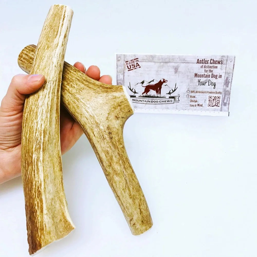 Medium Whole Elk Antler 2 Pack Dog Chew Grade A Premium
