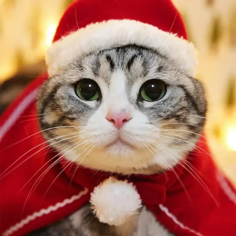 Christmas Pet Cape Hat Scarf Set for Cats and Small Dogs