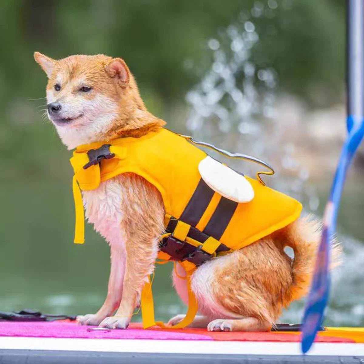 Dog Life Jacket Reflective Adjustable Flotation Vest