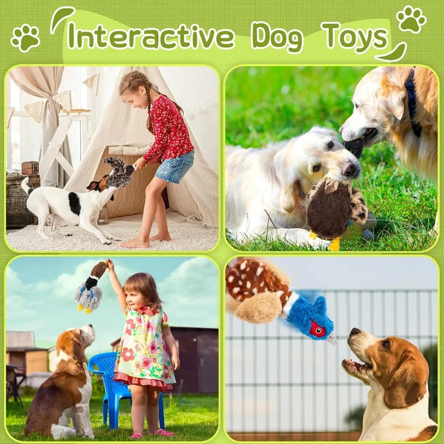 Dog Squeaky Toy Set 4 Pack Durable Plush Duck Pheasant Goose Soft Bird Chew Toys for Small and Medium Dogs