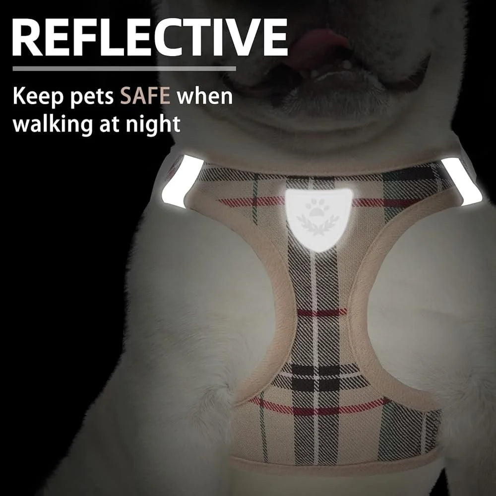 Adjustable No Pull Dog Harness Collar and Leash Set Step In Breathable Soft Pet Gear for Small and Medium Dogs and Cats for Outdoor Walking and Running