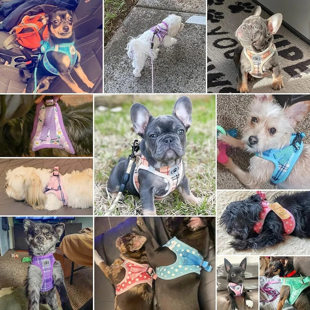 Floral Dog Harness and Leash Set No Pull No Choke Escape Proof Step In Vest with Padded Handle Lightweight Durable and Breathable for Small Dogs