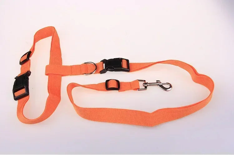 Adjustable Belt Traction Walking Pet Lead with Free Rope for Cats and Dogs - Jogging Supplies and Leash