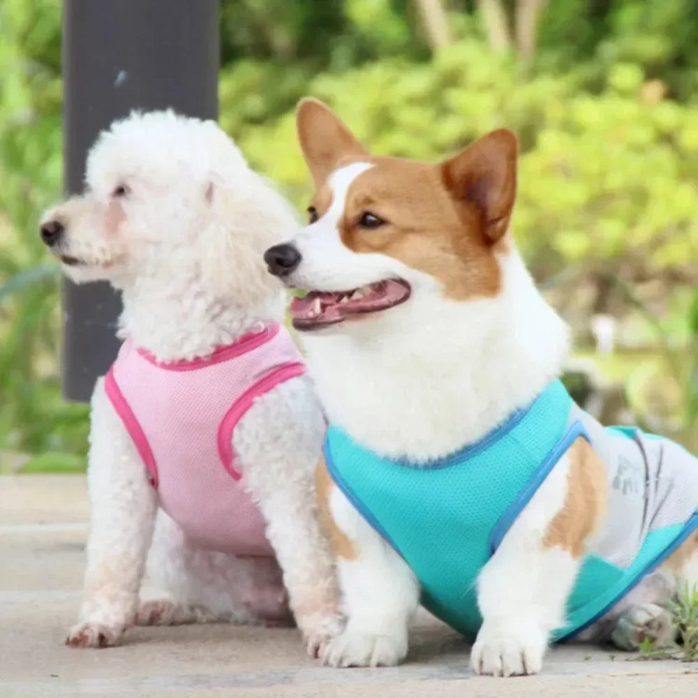 Summer Cooling Vest Dogs Breathable Reflective Quick Dry
