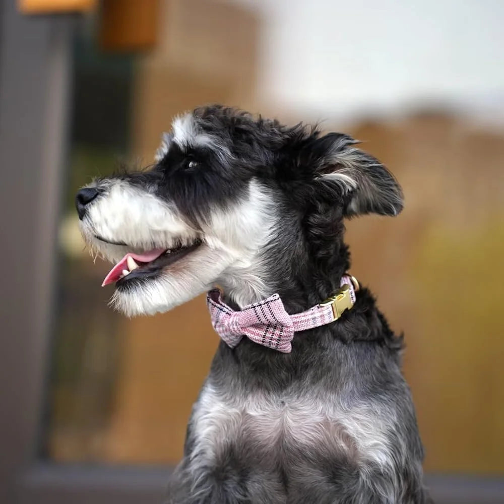 Cute Small Dog Harness Collar Leash Set Adjustable Soft Plaid Design for XS Dogs and Cats Ideal for Walks and Parties