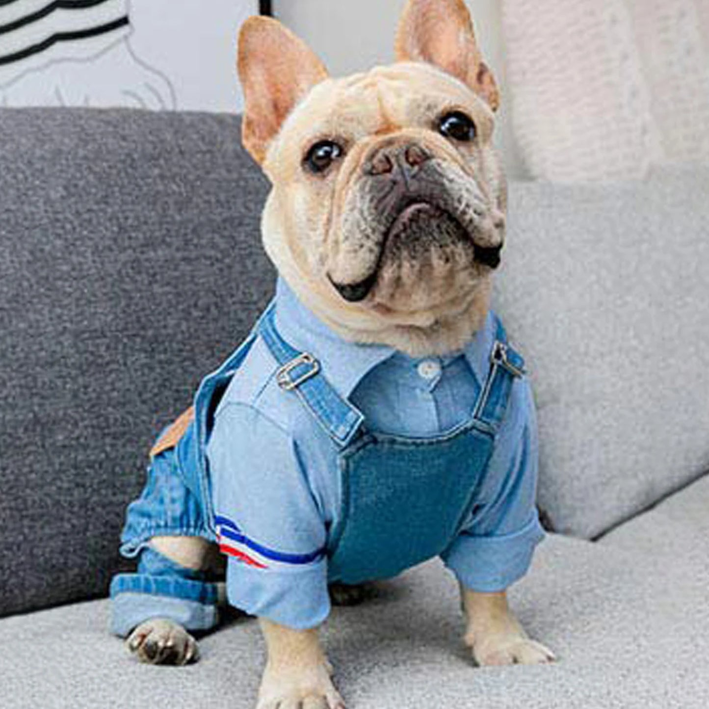 Dog Denim Jumpsuit Overalls for Small Medium Dogs and Cats