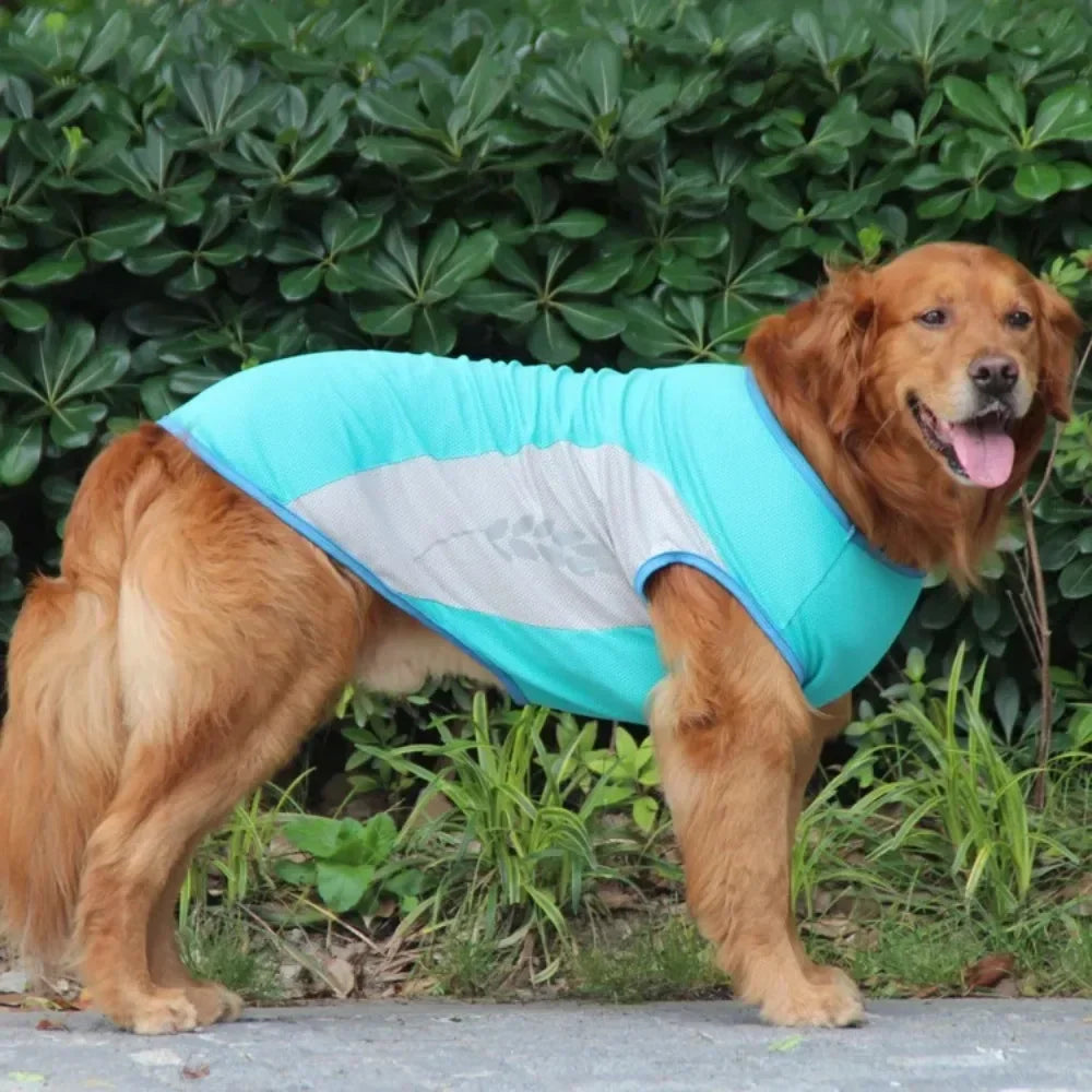 Summer Cooling Vest Dogs Breathable Reflective Quick Dry