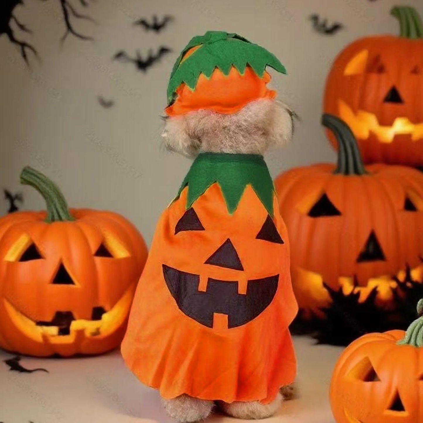 Halloween Cat Costume Kitten Witch Cloak Hat Set For Pets