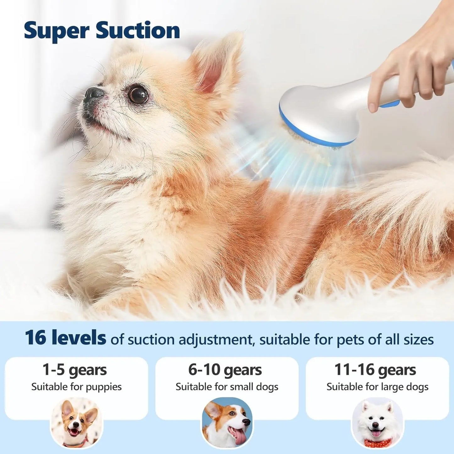 Pet Grooming Vacuum Kit 5 In 1 With 2.0L Dust Cup Low Noise