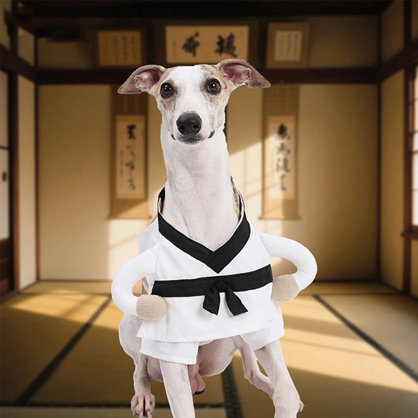 Funny Halloween Pet Costume For Dogs Cats Indoor Outdoor