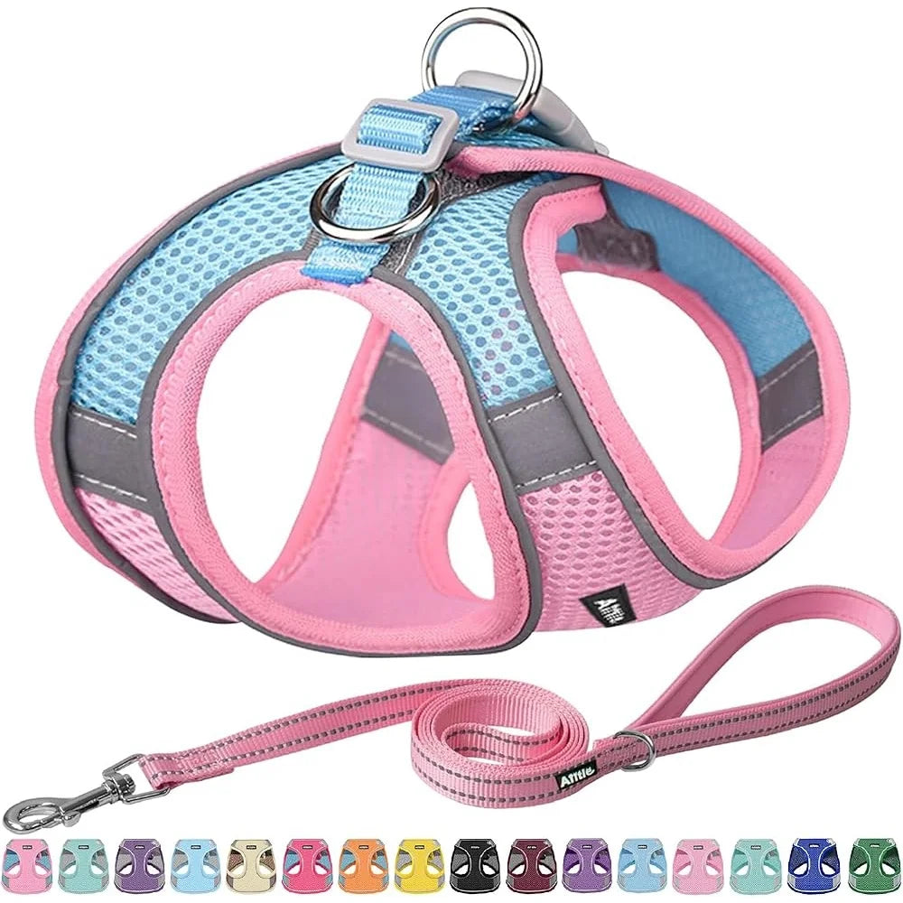 Step In Dog Harness Leash Set No Pull Escape Proof Soft Mesh Vest with Reflective Bands for Small Dogs
