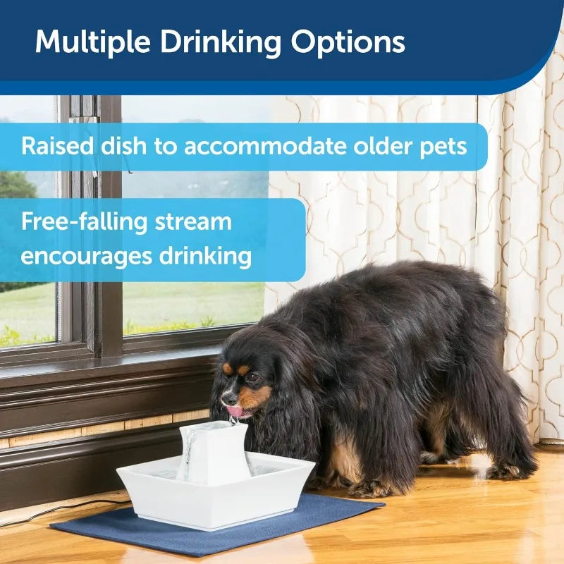 PetSafe Pagoda Ceramic Water Fountain 70oz Cats and Dogs