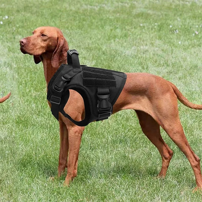 Medium And Large Dog Tactical Vest Nylon Harness Training