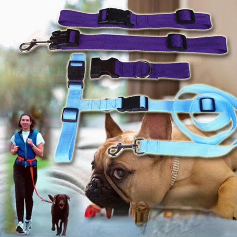 Adjustable Belt Traction Walking Pet Lead with Free Rope for Cats and Dogs - Jogging Supplies and Leash