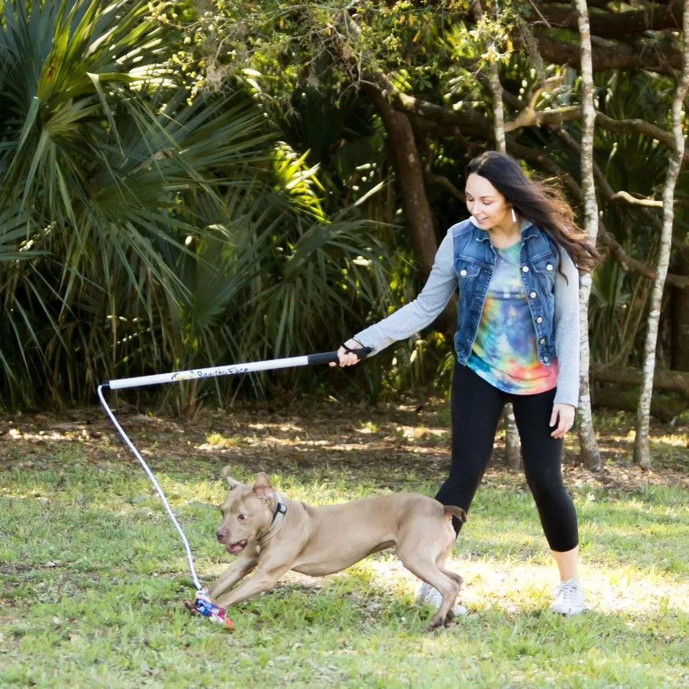 Flirt Pole V2 Dog Exercise Toy With 2 Lures 1 Tug 36 Inch