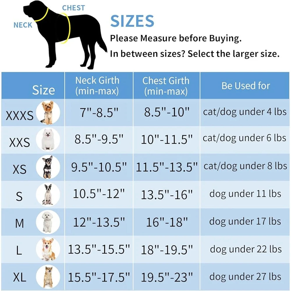Step In Dog Harness Leash Set No Pull Escape Proof Soft Mesh Vest with Reflective Bands for Small Dogs