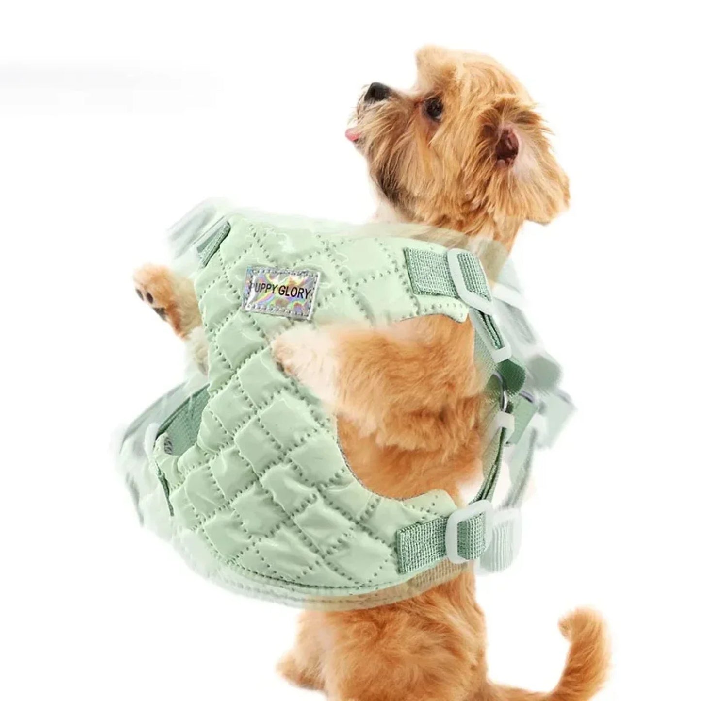 Waterproof Adjustable Harness Vest for Small to Medium Dogs