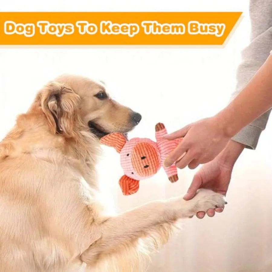 5 Pack Squeaky Dog Toys Durable Plush Chew Toys Assortment