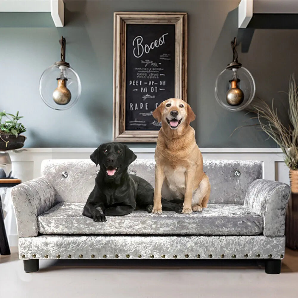 Luxury Velvet Tufted Dog Sofa Bed Large Elevated Pet Bed Upholstered Cushion Wooden Frame Couch