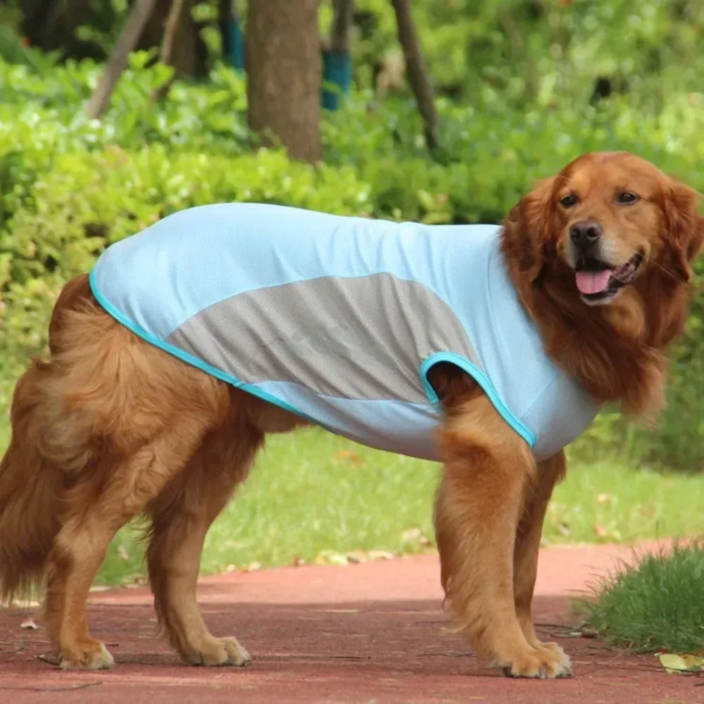 Summer Cooling Vest Dogs Breathable Reflective Quick Dry