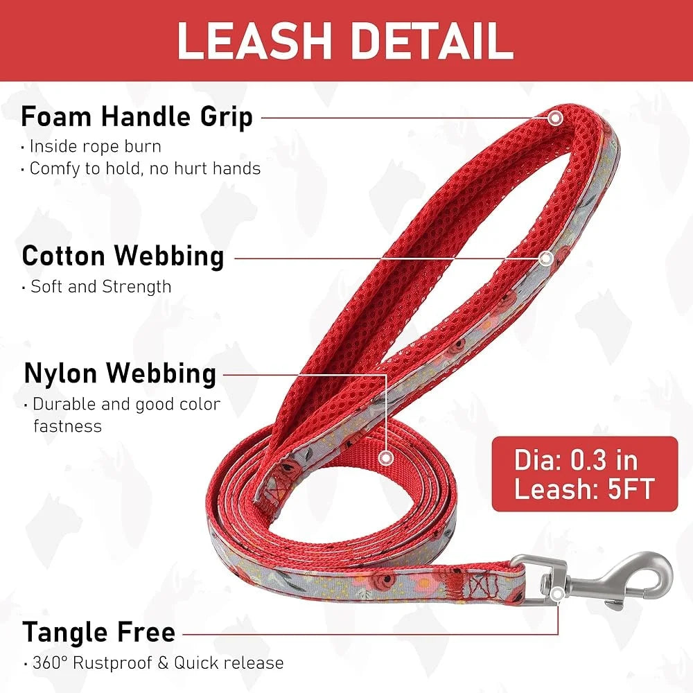 Adjustable Small Dog Harness Collar Leash Set No Pull Soft Mesh Reflective Vest with ID Tag