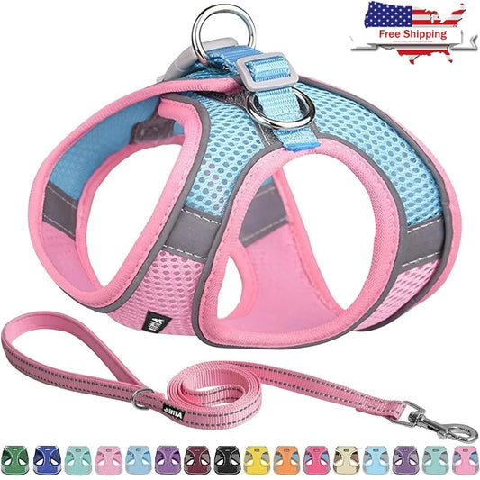 Step In Dog Harness Leash Set No Pull Escape Proof Soft Mesh Vest with Reflective Bands for Small Dogs