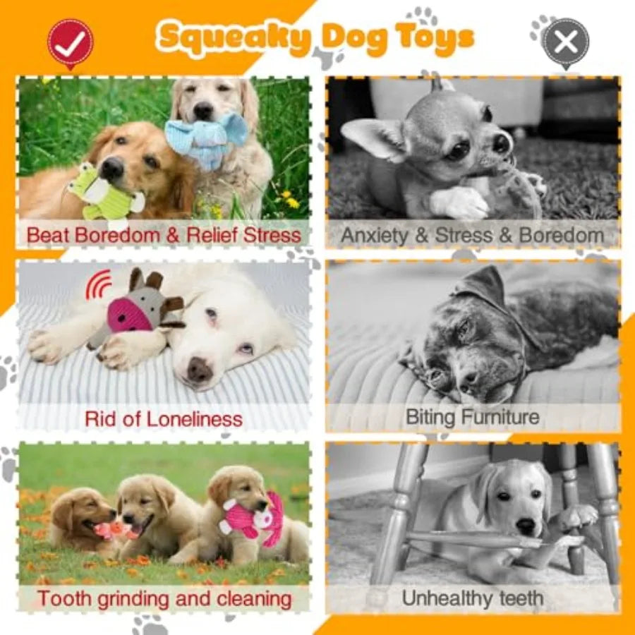 5 Pack Squeaky Dog Toys Durable Plush Chew Toys Assortment
