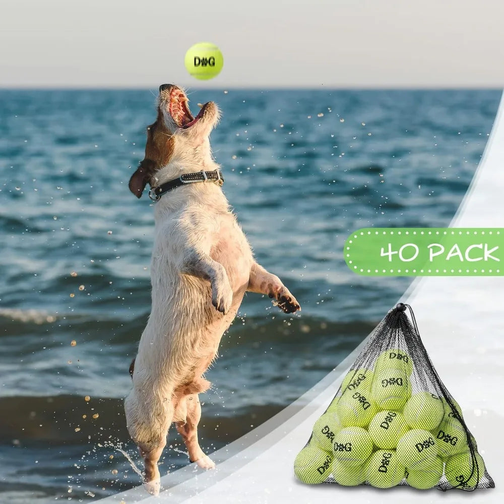 40 Pack 2.5 Inch Tennis Balls Dog Toys With Carry Bags
