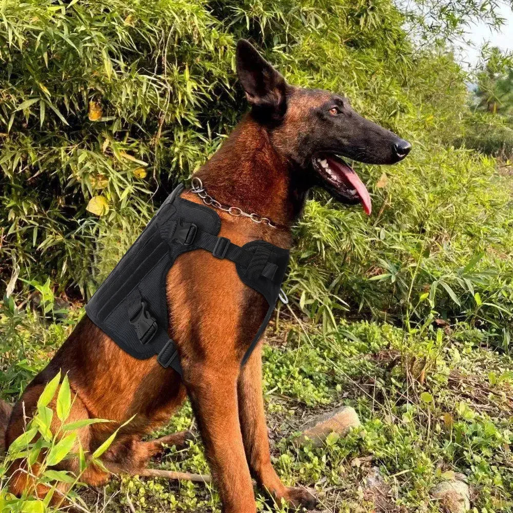 Medium And Large Dog Tactical Vest Nylon Harness Training