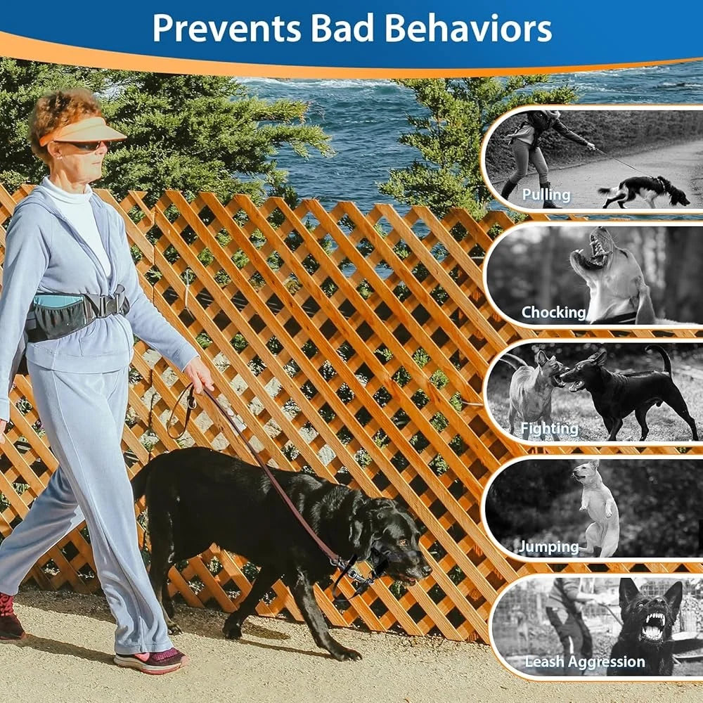 No Pull Dog Head Collar Training Harness for Medium Large Dogs Adjustable Comfortable Fit with Training Guide Included