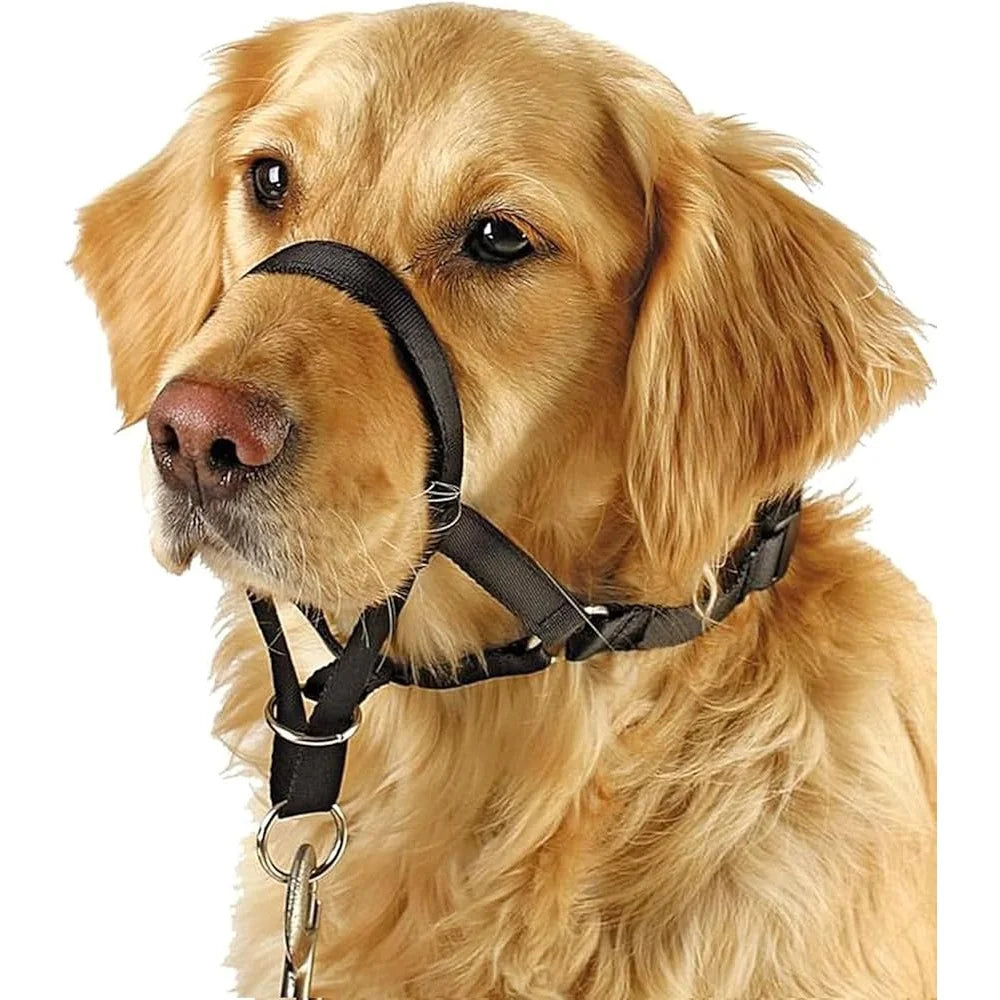 No Pull Dog Head Collar Training Harness for Medium Large Dogs Adjustable Comfortable Fit with Training Guide Included