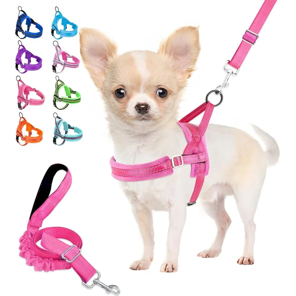 Soft Padded Dog Harness Leash Set Adjustable Reflective Vest for Small Dogs Quick Fit Neck and Chest Safe Walking with 4ft Leash