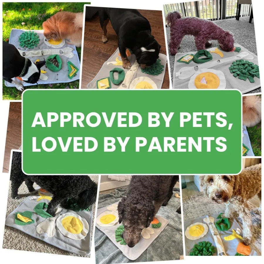 Snuffle Mat for Large Dogs 19x23 Indoors Keeps Pets Busy