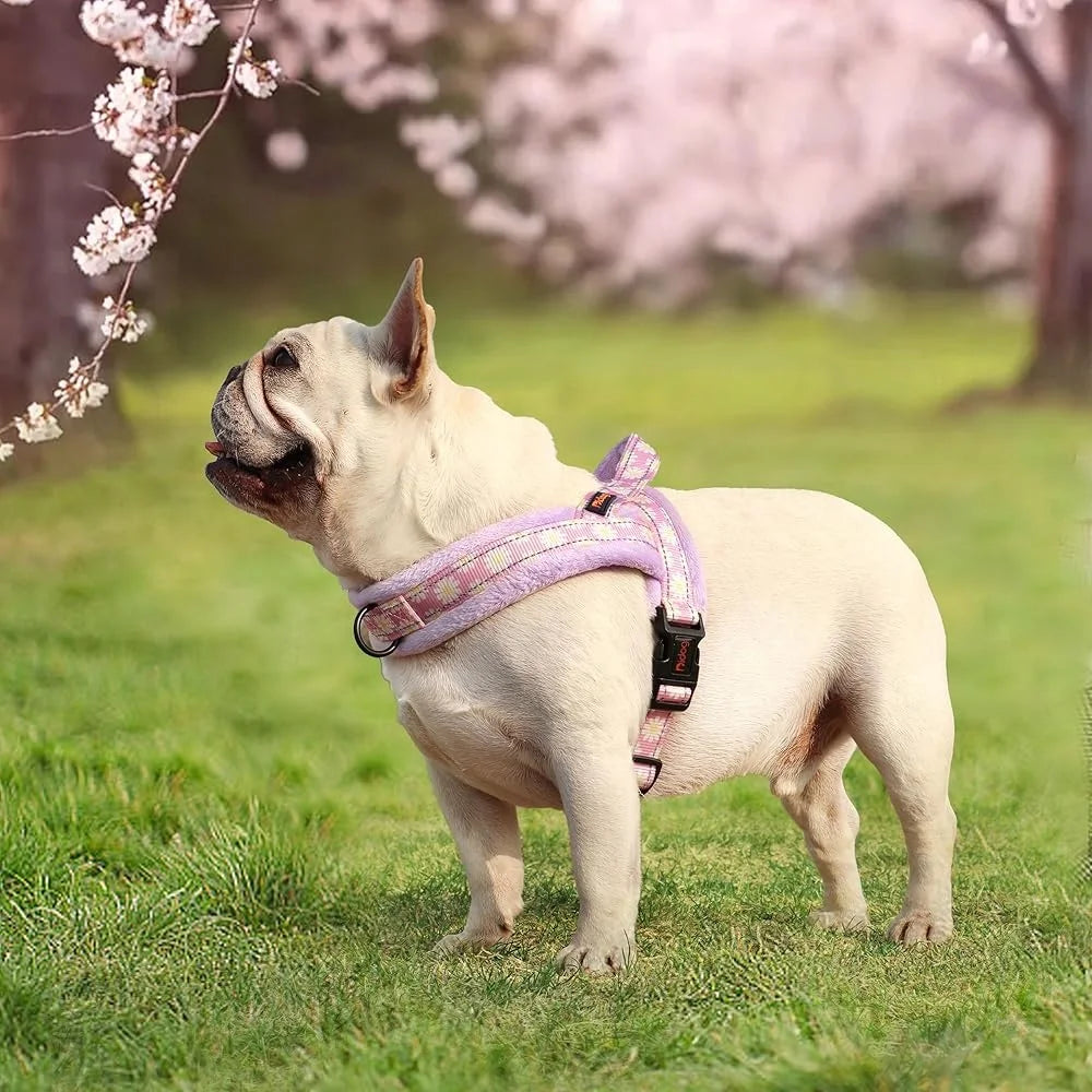 No Pull Dog Harness Soft Padded Easy Walk Adjustable Reflective Quick Release Buckle Comfortable Pet Harness for Training and Outdoor Use