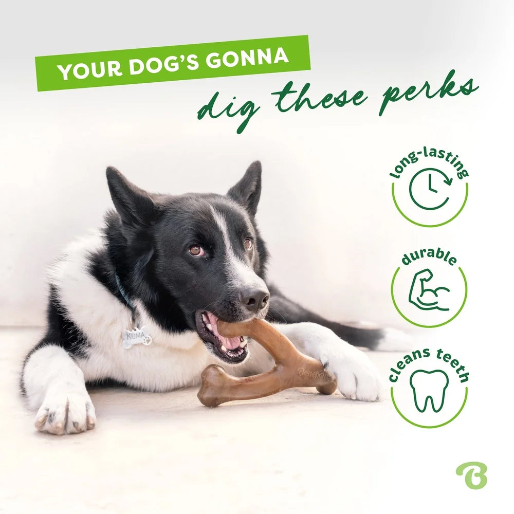 Durable Dog Chew Toy Aggressive Chewers Real Peanut Flavor