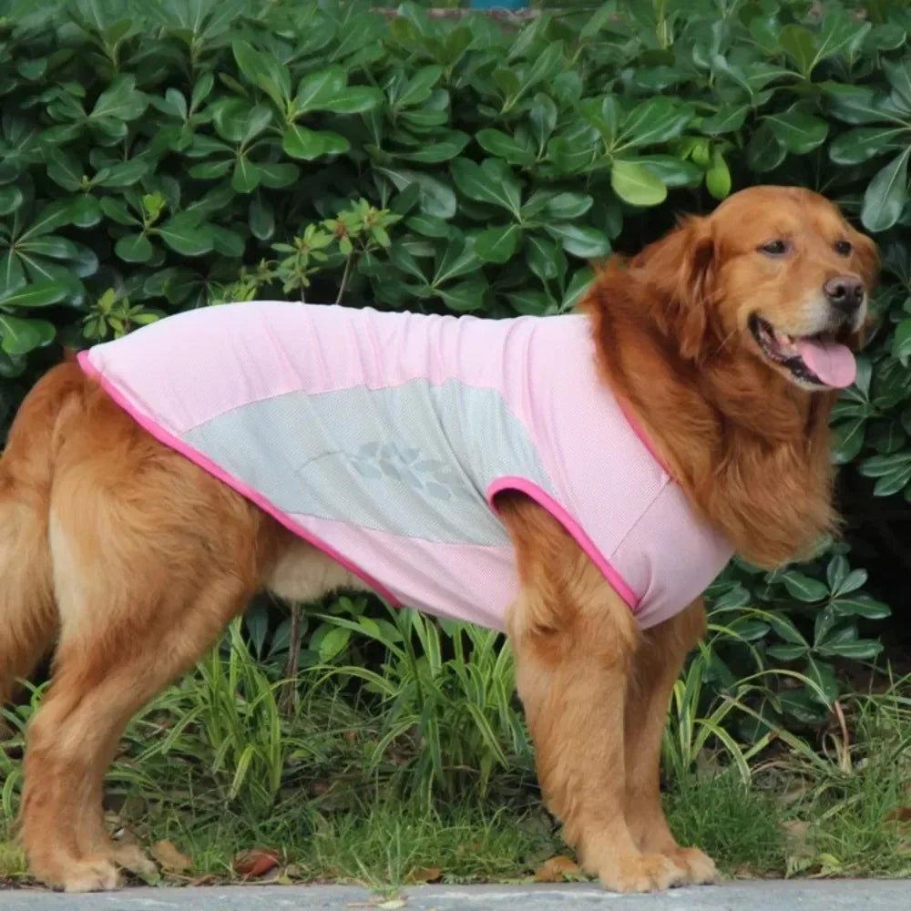 Summer Cooling Vest Dogs Breathable Reflective Quick Dry