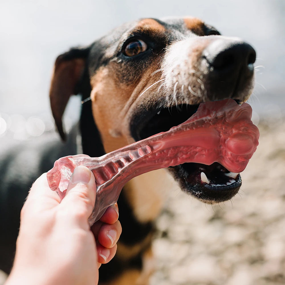 Masbrill Dog Toys for Aggressive Chewers Large Dogs Bone Shaped Indestructible Nylon Interactive Teeth Cleaning Chew Toy