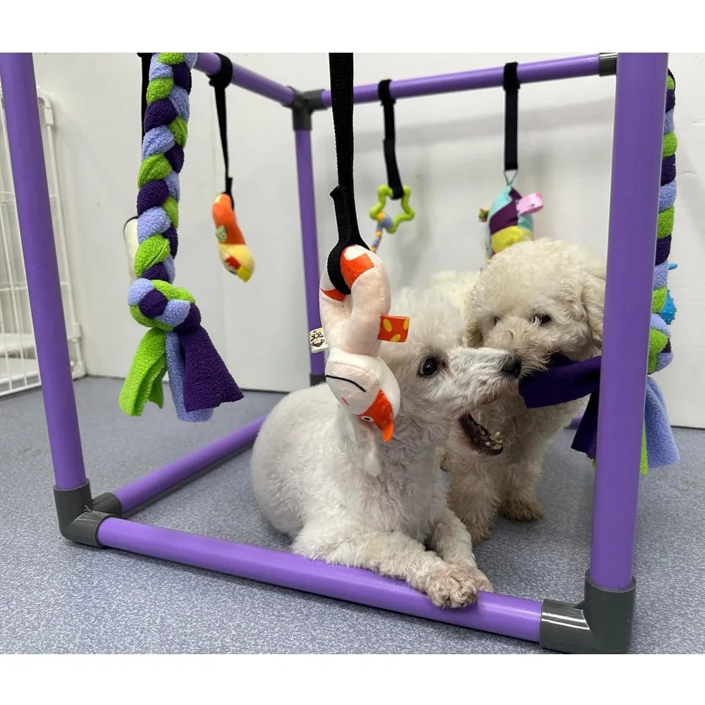 Puppy Play Gym For Small Dogs 8 Hanging Toys Jungle Gym