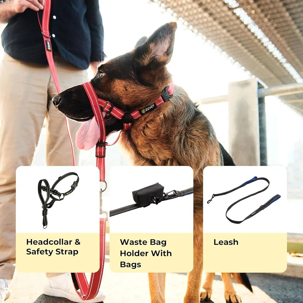 Dog Headcollar with Leash Safety Strap Adjustable Comfortable Fit Reflective Nylon Buckle Design for Dogs
