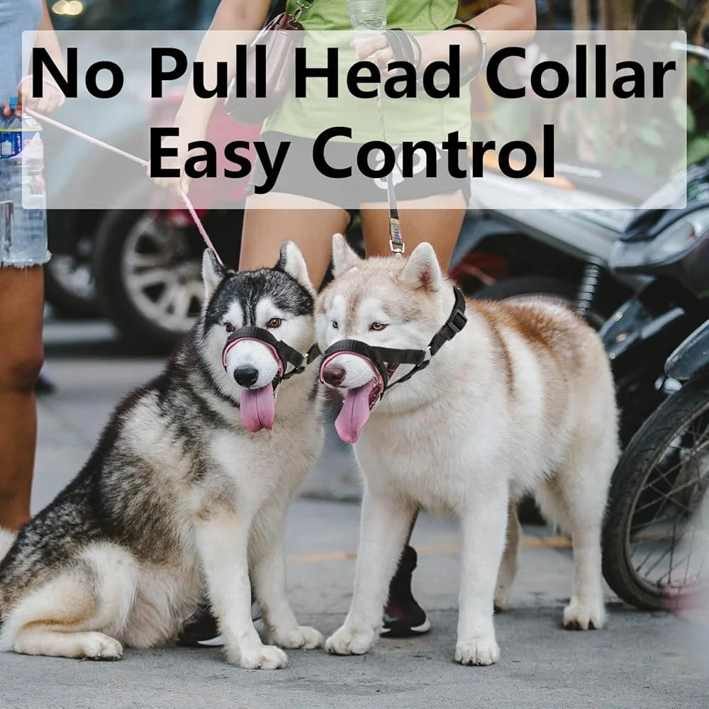 Padded Dog Head Collar Adjustable No Pull Harness Durable Nylon Strap Better Control for All Dog Sizes