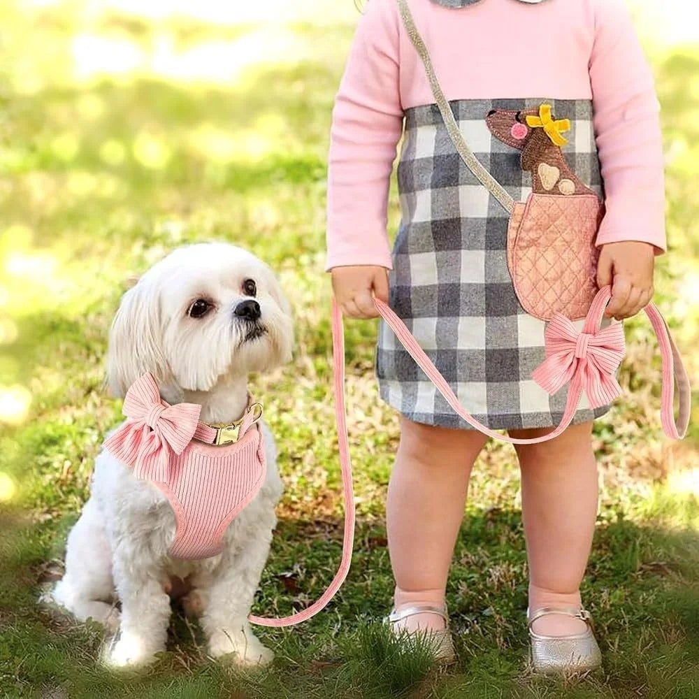 Cute Adjustable Dog Vest Harness Collar Leash Set Soft Mesh Breathable Comfort Bowtie for Small Pets