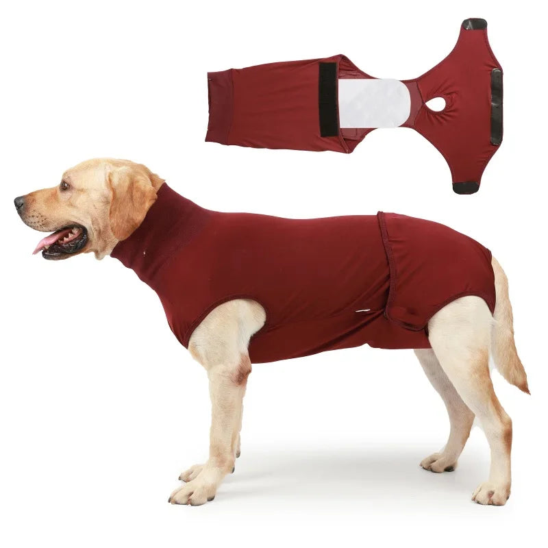 Recovery Suit For Dogs Cats After Surgery Prevent Licking