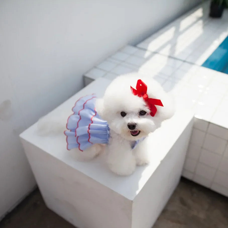 Dog Summer Dress Princess Style Pet Skirt Outfit For Dogs