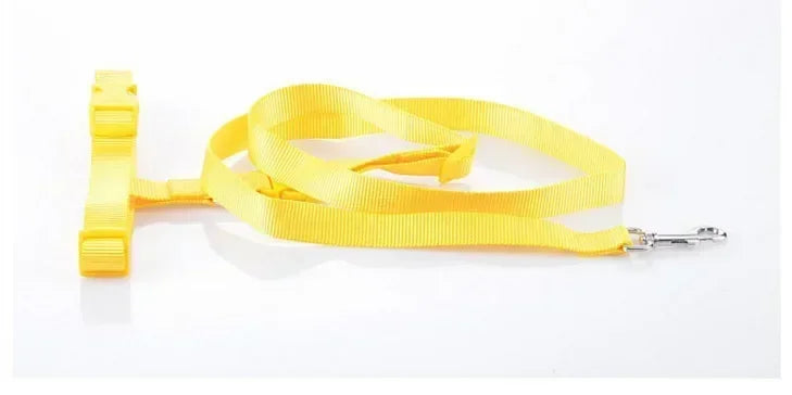 Adjustable Belt Traction Walking Pet Lead with Free Rope for Cats and Dogs - Jogging Supplies and Leash