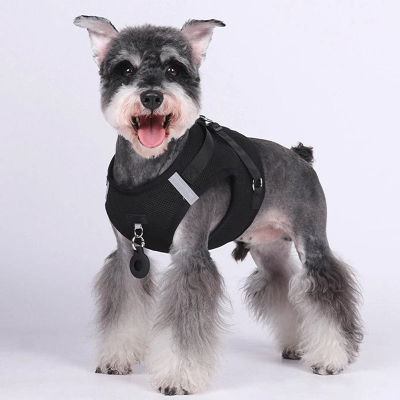 Pet Harness With AirTag Tracker And Leash Set For Small Medium Dogs And Cats Adjustable Chest Strap Outdoor Vest