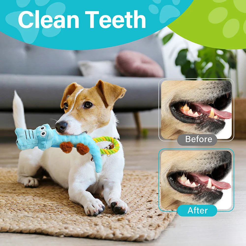Dog Squeaky Toy 2 Pack Interactive Plush Tug Of War Toy